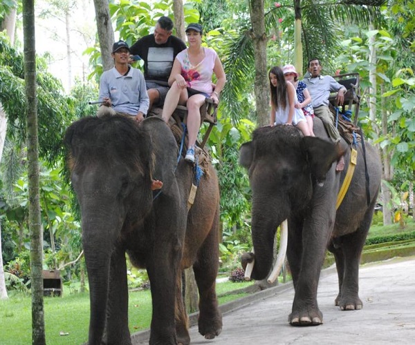 Bali Elephant Ride Tour | Bali Rafting and Elephant Ride Tour Packages | Bali Golden Tour