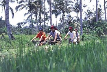 Bali Jatiluwih Rice Paddy Cycling Tour | Bali Cycling Tours | Bali Golden Tour