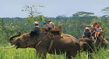 Bali Elephant Ride and Tanah Lot Tour | Bali Elephant Ride Tour | Bali Golden Tour