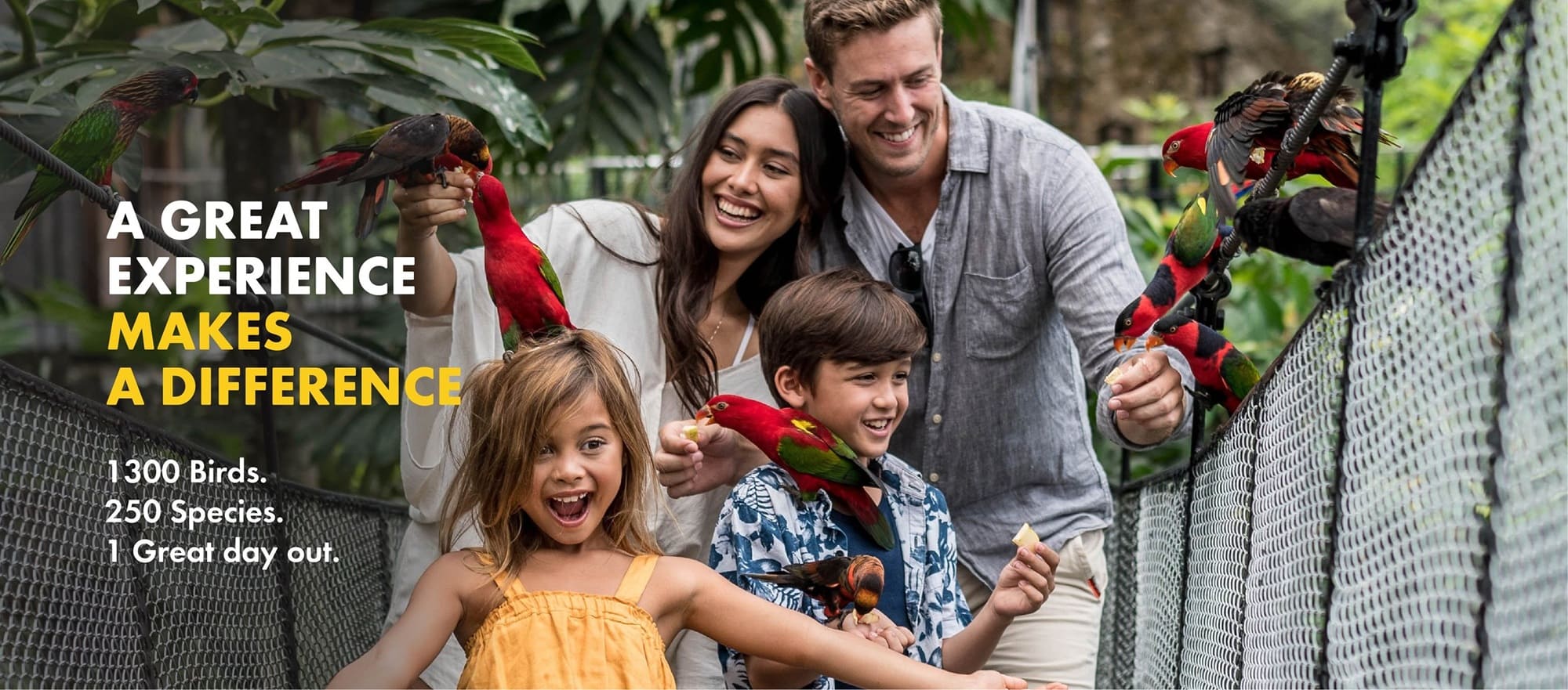 Bali Bird Park and Ubud Tour