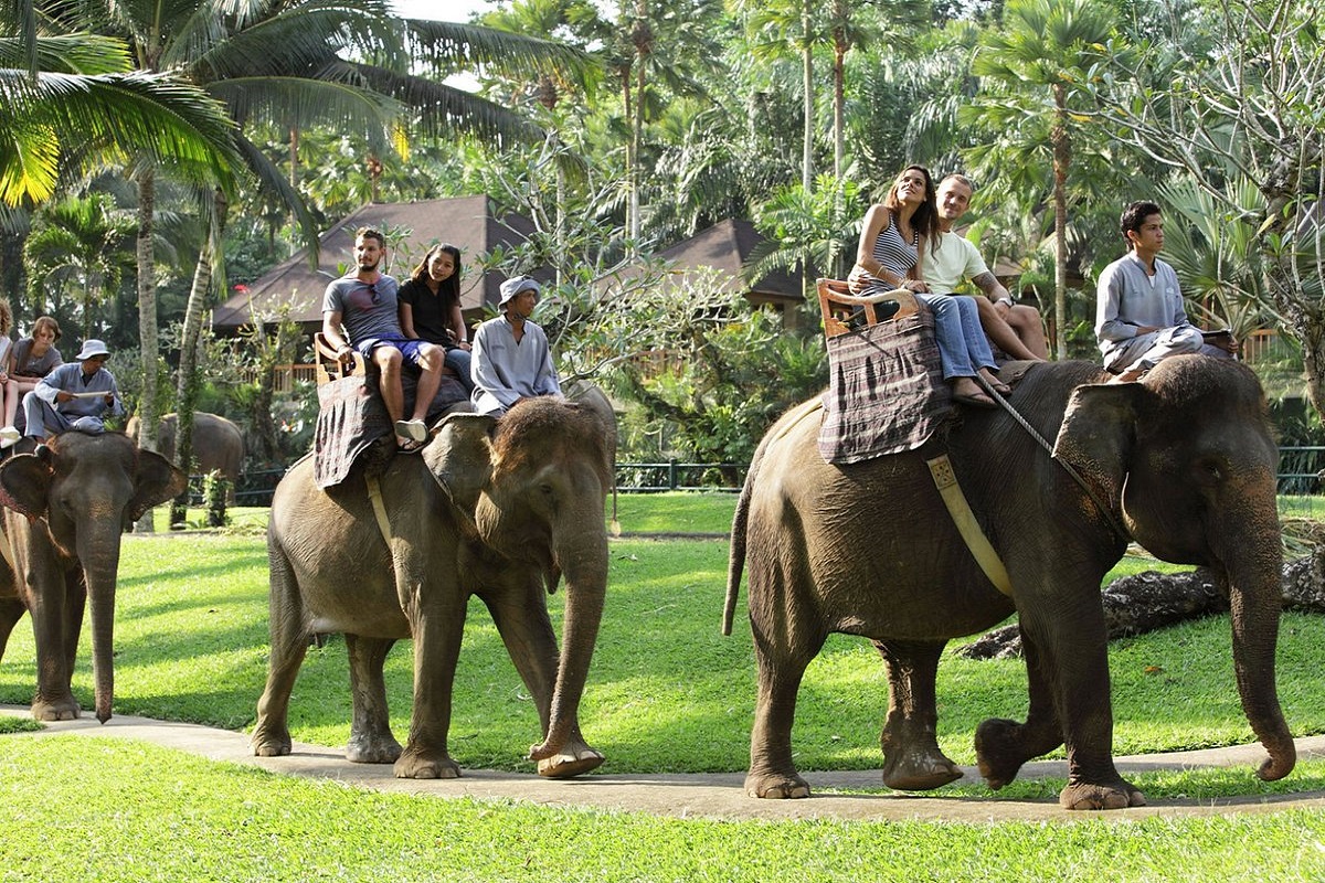 BALI ELEPHANT SAFARI RIDE TOUR | RIDING AN ELEPHANT AT TARO VILLAGE