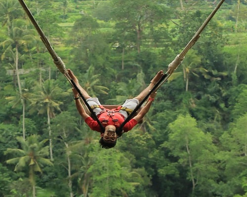 Real Bali Swing | Adrenaline Swing | Bali Golden Tour