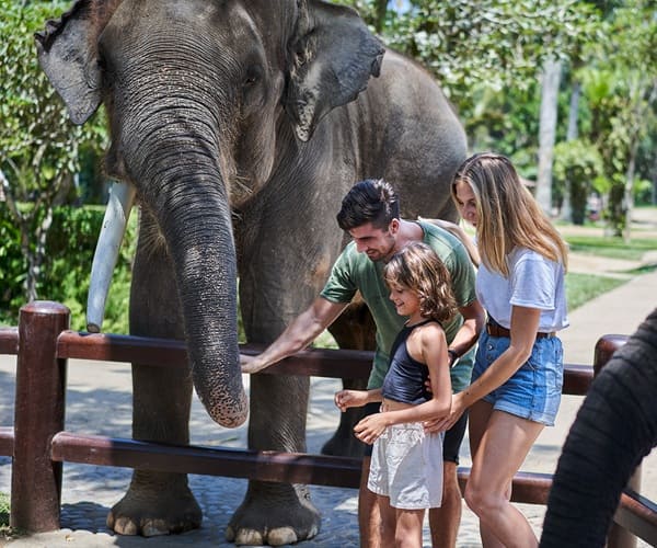 Bali Taro Elephant Park (Mason Elephant Park)
