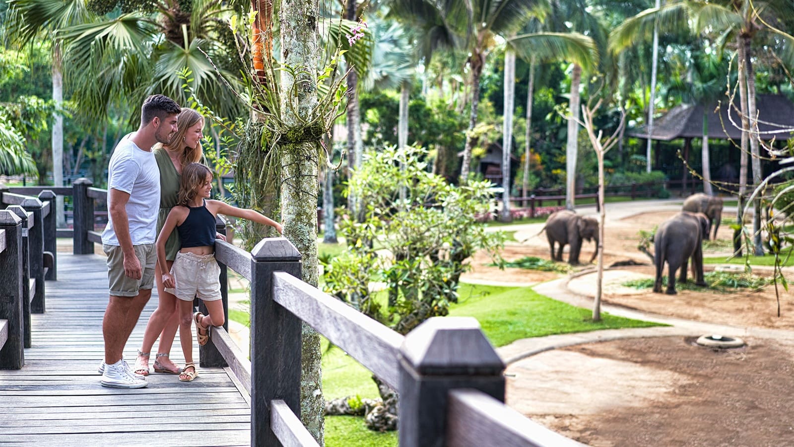 Bali Taro Elephant Park - Mason Elephant Park