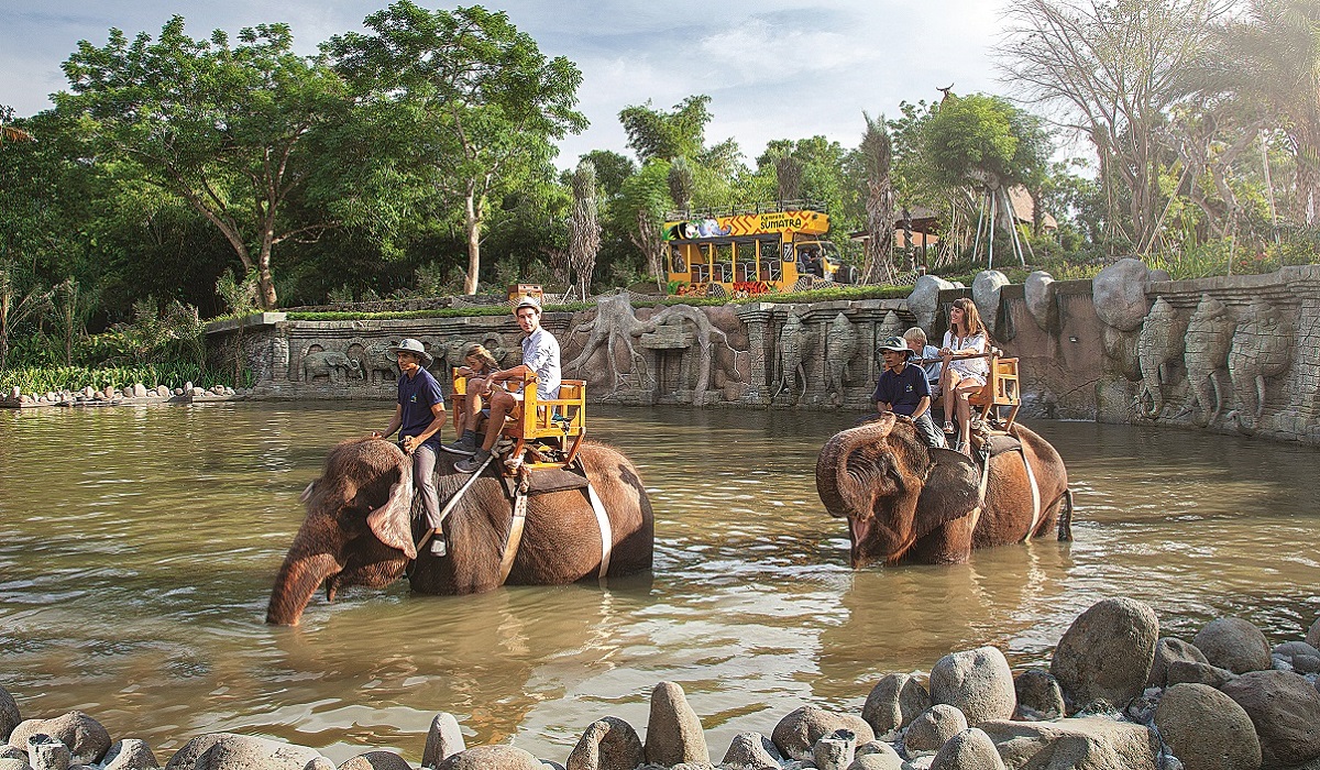 Bali Zoo Elephant Ride | Bali Elephant Ride Tour | Bali Golden Tour