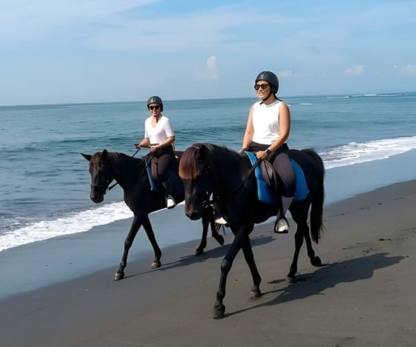 Bali Horse Riding Tour