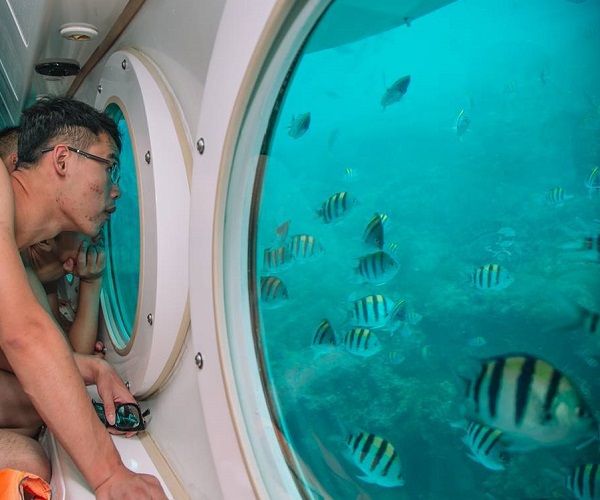 Tropical Bali Odyssey: Exploring Paradise Anew