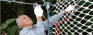 Bali Treetop Adventure Tour | Bali Activities Tour