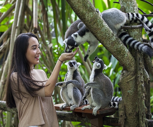 Bali Zoo Park Tour | Bali Activities Tours | Bali Adventure Activity | Bali Golden Tour