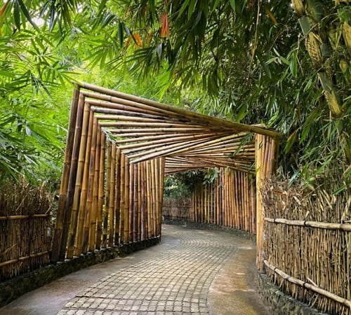 Pathway Bamboo Forest Penglipuran
