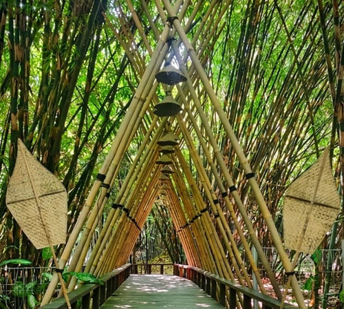 Inside Bamboo Forest Penglipuran
