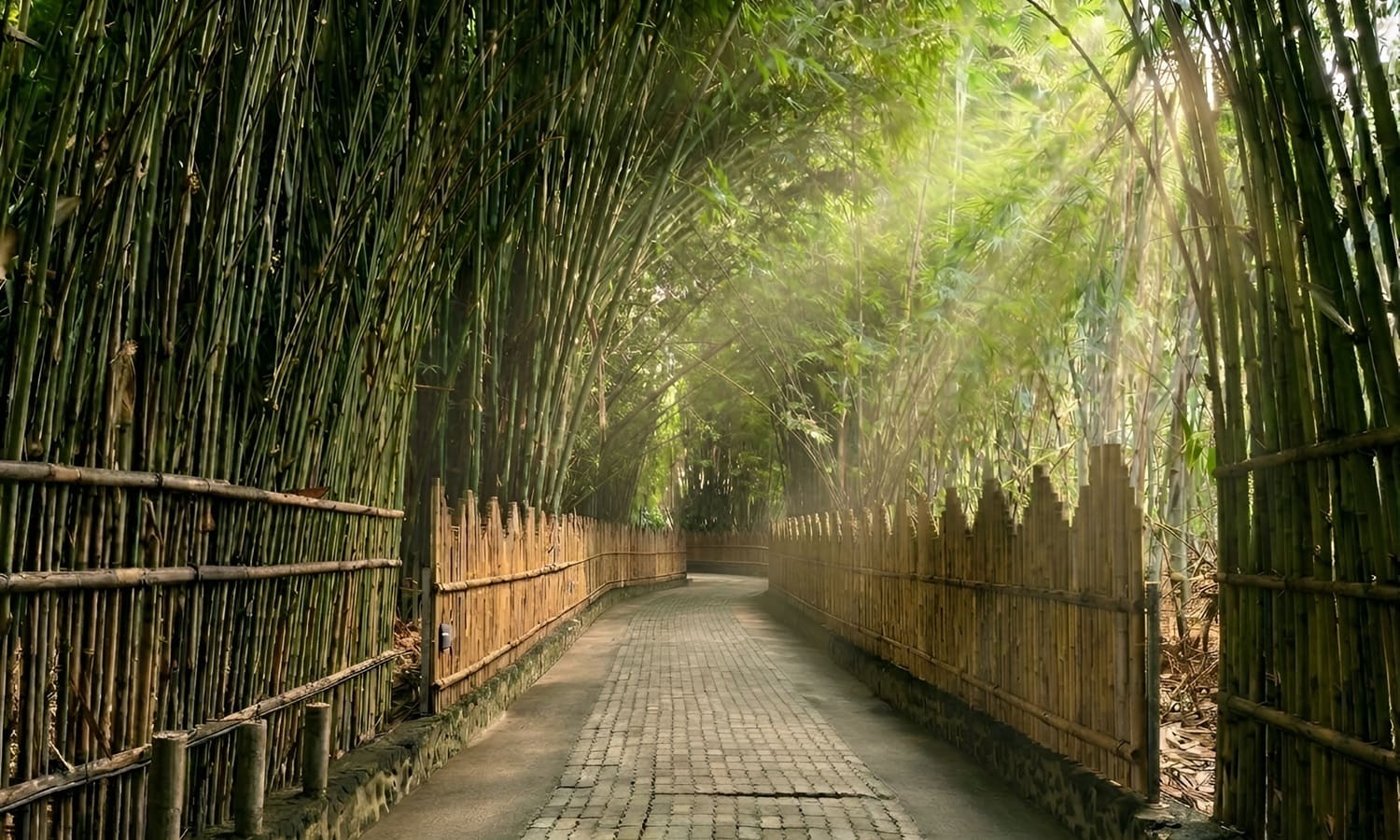 Bamboo Forest Penglipuran