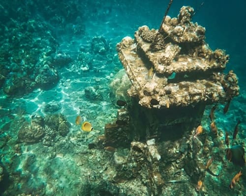 Snorkeling at Jemeluk Beach