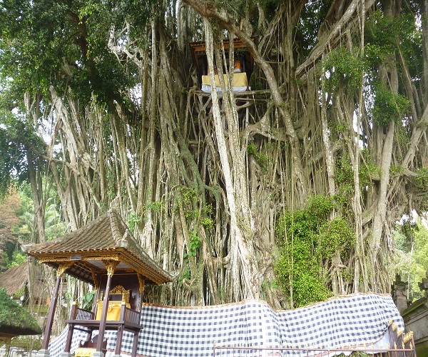 Bali Kulkul at Banyan Tree | Kehen Temple