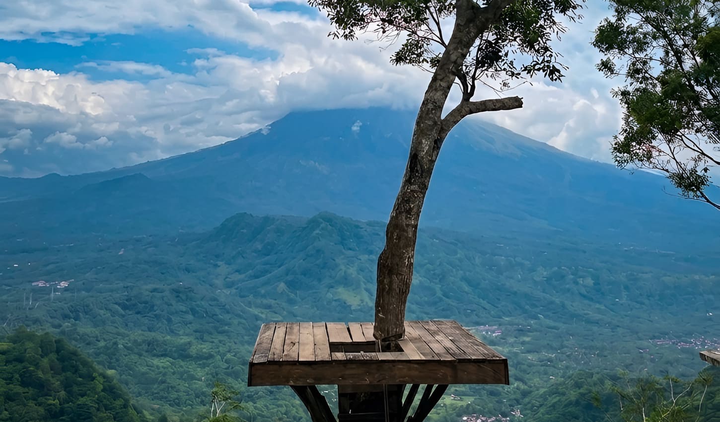 Bali Lahangan Sweet - Take Picture at Tree with Mount Agung View Point