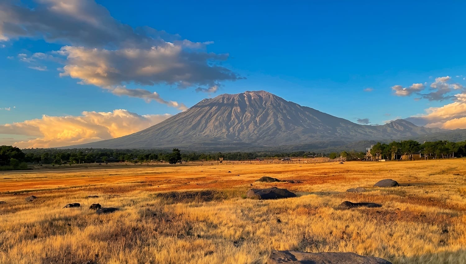 Savana Tianyar with Amazing Mount Agung