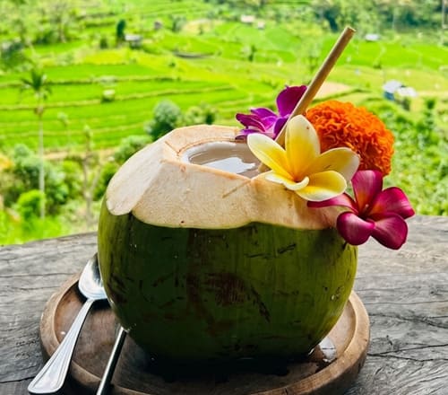 Fresh Coconut Water with View Berina Rice Terrace
