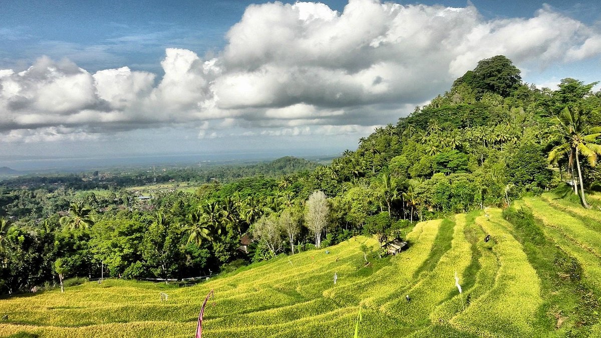 Bukit Jambul Rice Terrace | Bali Interest Place | Bali Golden Tour