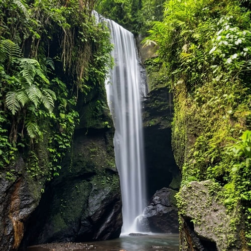 View of Goa Raja Waterfall
