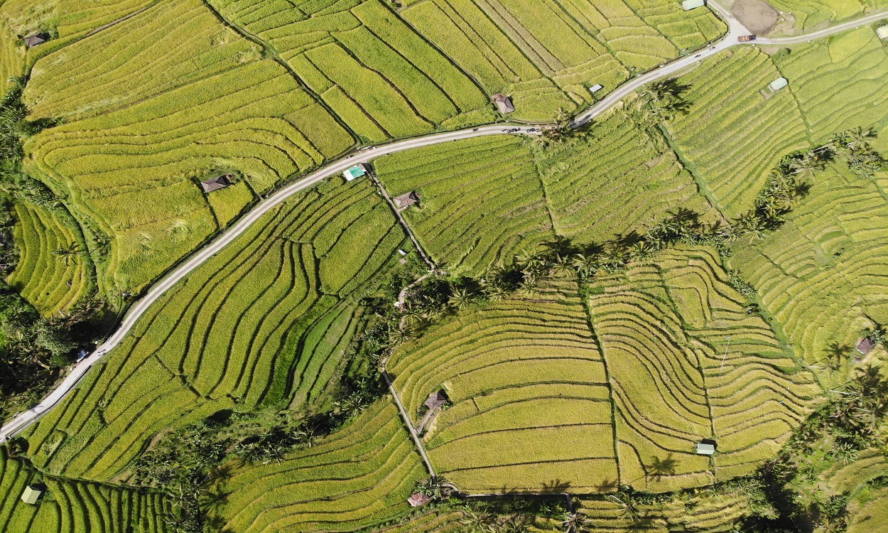 JATILUWIH RICE TERRACE | BALI INTEREST PLACE | BALI GOLDEN TOUR