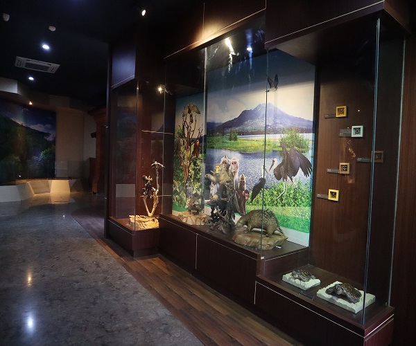 Batur Geopark Museum | Kintamani Village Bali | Bali Golden Tour