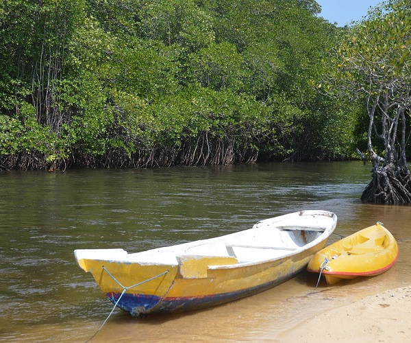 Mangrove Forest | Nusa Lembongan | Bali Golden Tour