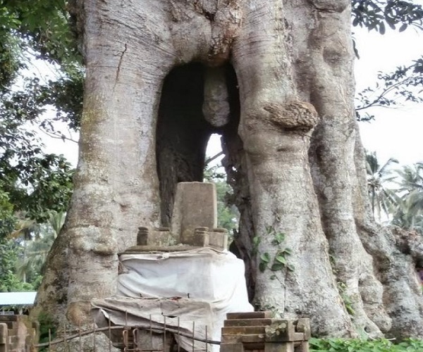 Lanang Wadon Temple | Sangeh Monkey Forest | Bali Golden Tour