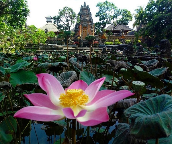 Saraswati Temple Ubud | Gianyar Places of Interest | Bali Golden Tour
