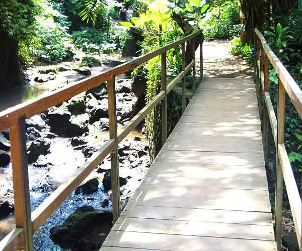 Pathway to Tibumana Waterfall | Bangli Places of Interest | Bali Golden Tour