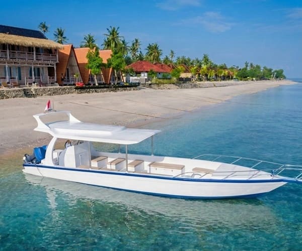 Picture of Private Boat Snorkeling in Nusa Penida
