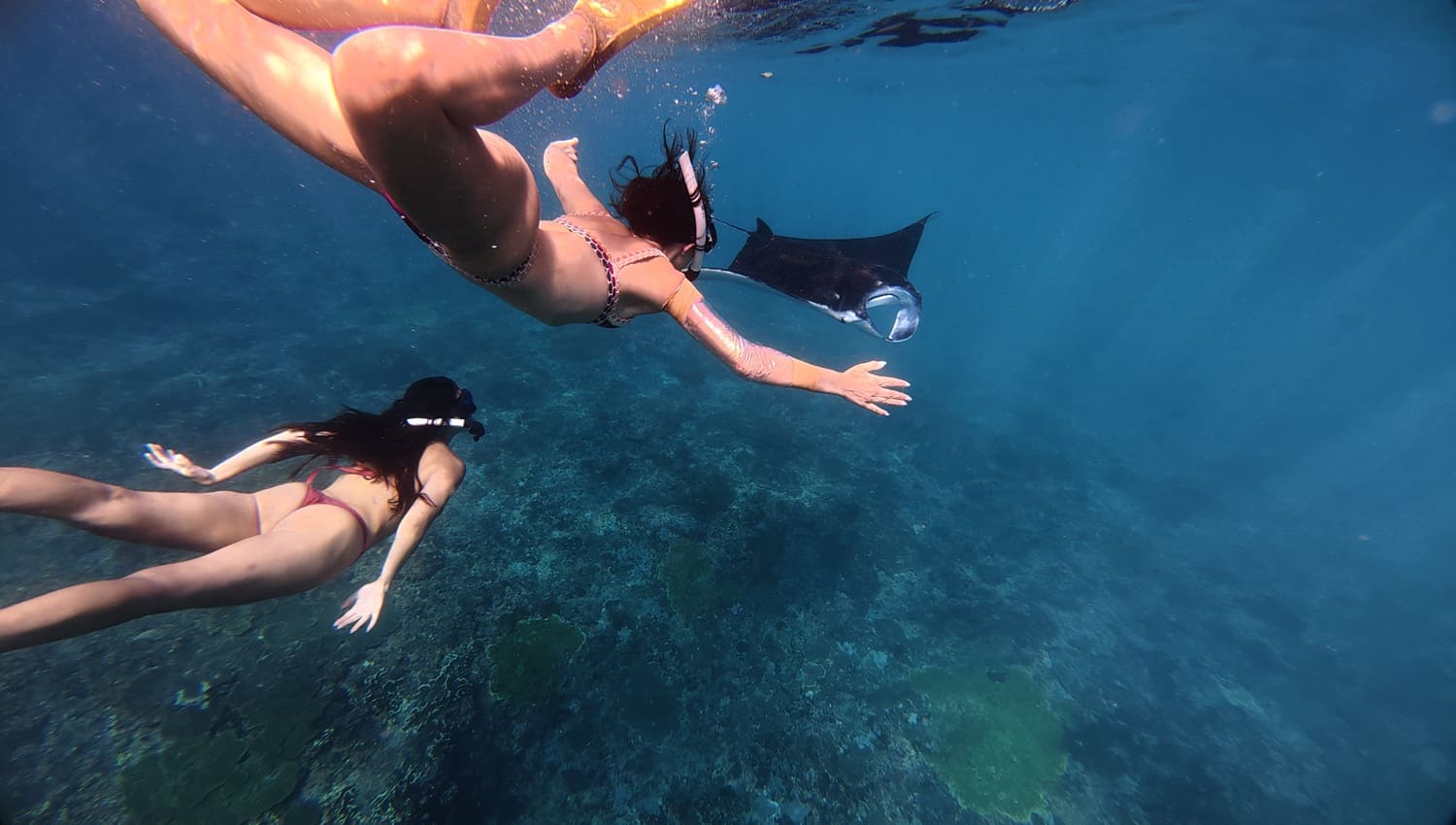 Tourist do Snorkeling in Nusa Penida during Bali Nusa Penida and Snorkeling Tour