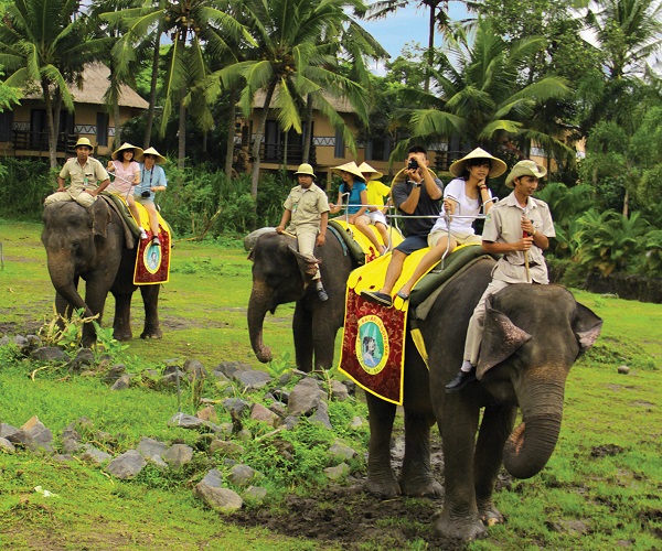 Elephant Ride | Elephant Back Safari Ride | Bali Golden Tour