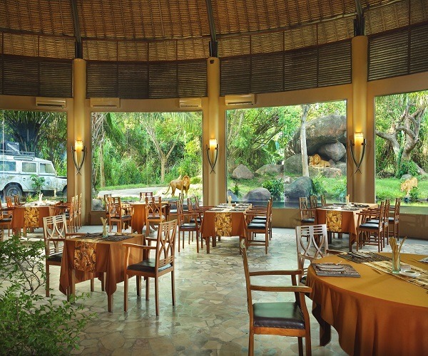 Tsavo Lion Restaurant | Breakfast with Lion | Bali Golden Tour