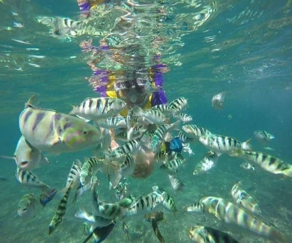Tanjung Jepun Beach | Bali Snorkeling Tour | Bali Golden Tour