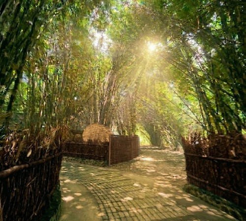 Bamboo Forest Penglipuran | Bangli Places of Interest
