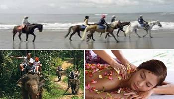 Bali Horse Riding, Elephant Ride and Spa Tour | Bali Triple Activities Tour Packages | Bali Golden Tour