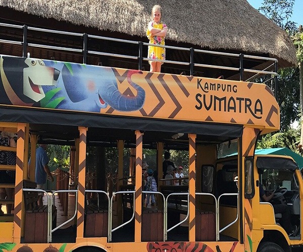 Zoo Shuttle | Breakfast with Orang Utan | Bali Zoo Park