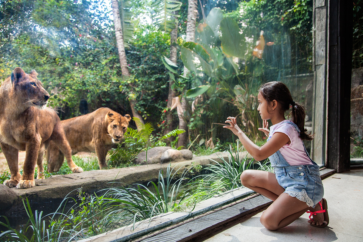 BaLi Zoo Explorer Tour | Bali Zoo Park | Bali Golden Tour