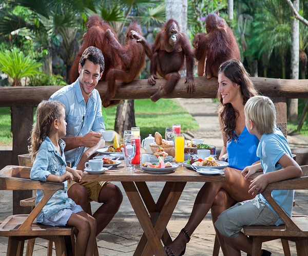 Bali Zoo Park | Breakfast with Orangutan | Bali Golden Tour