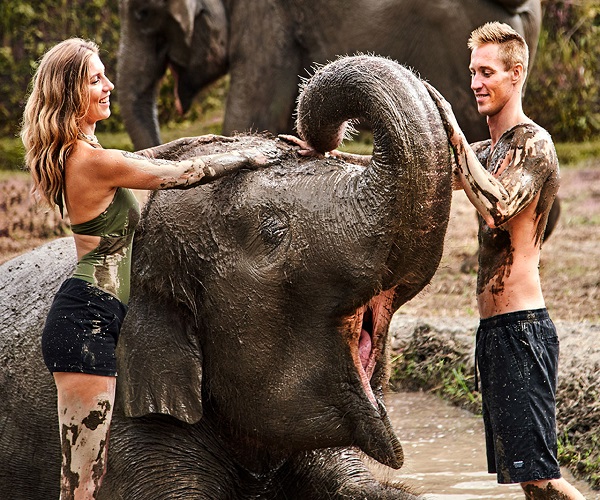 Elephant Mud Fun | Bali Zoo Park