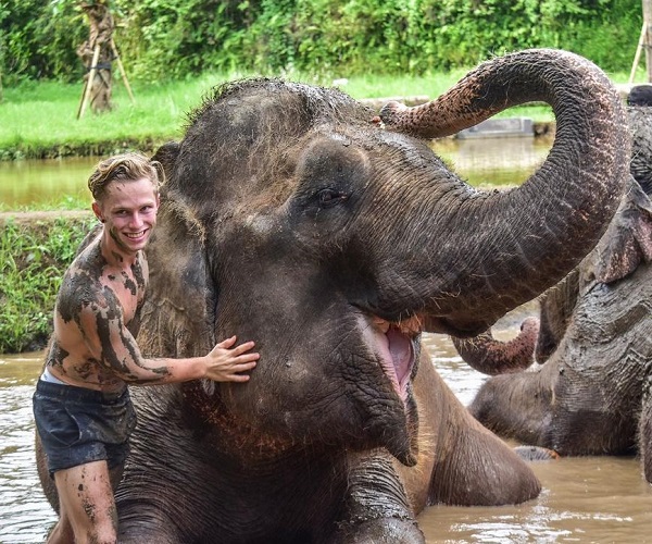 Elephant Mud Fun | Bali Zoo Park